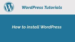 How to install wordpress on localhost