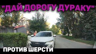 Автоподборка "Дай Дорогу Дураку"Едет против шерсти#427