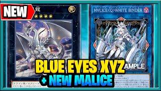 NEW BLUE EYES XYZ 2024 + NEW MALICE Link : New YuGiOh Cards 2024