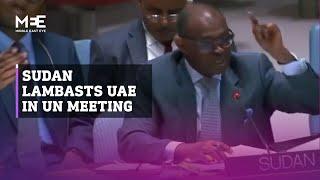 Sudan strongly criticises UAE over war ties at UN Security Council meeting