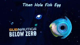 Titan Hole Fish Egg Location. Subnautica: Below Zero