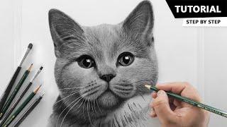 How to Draw Realistic Cat for BEGINNERS | Fur Drawing Technique