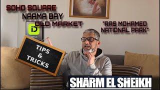 Sharm El Sheikh Travel Guide 2024: Must-See Attractions & Transportation Tips