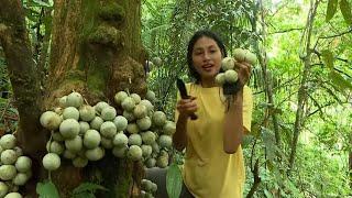 JEJAK KEJAYAAN BATAVIA KECIL | JEJAK PETUALANG (28/07/24) Part 2