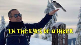 In the Eyes of a Hiker [Trail Trooper's Year End Presentation] Hiking Season 2020 - 2021