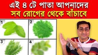 এই 4 টে পাতা আপনাদের সব রোগ থেকে মুক্তো করবে - Most Effective Leaves For Good health