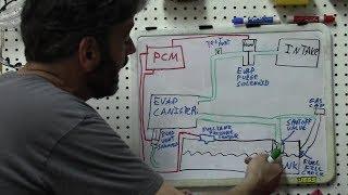 Diagnosis + Understanding EVAP Systems (SBQM Full Video)