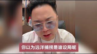 “远洋捕捞”是谁设的局？这种公开的事情你还问...（20241030直播）#老陌