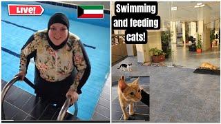 BURKINI SWIM AND FEEDING A BUNCH OF HUNGRY CATS IN KUWAIT LIVE!