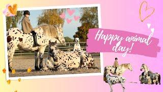 Spotted Unicorns! Happy animal day / H&H HeartStud