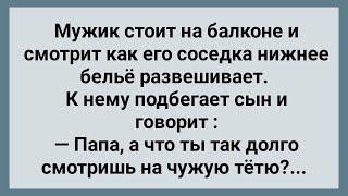 Мужик Смотрит на Соседку! Сборник Свежих Анекдотов! Юмор!