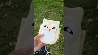 Owl Lunchbox