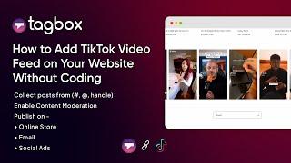 How to Add/Embed TikTok Video Feed on Your Website Without Coding