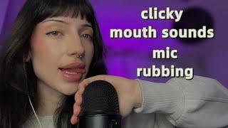 ASMR ₊˚ʚ ᗢ₊ Clicky mouth sounds, mic rubbing, mic gripping