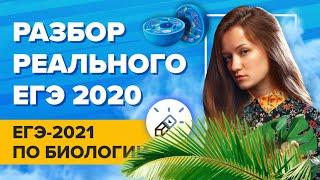 Биология. ЕГЭ2021. Разбор реального варианта ЕГЭ 2020