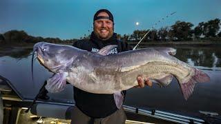 Giant Channel Catfish Using FROGS