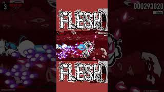 Flesh indie shmup STG by Oab