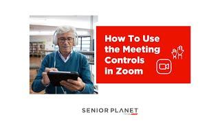 How To Use the Meeting Controls in Zoom