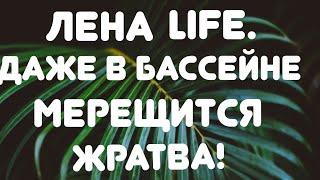 Лена LIFE // Даже в бассейне мерещится жратва! //Обзор видео//