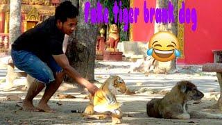 Fake tiger branks dog,laugh funny ,dogs is scary so funny!