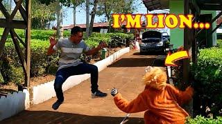 Laughing Chicken Chicken Chicken... || Lion Prank