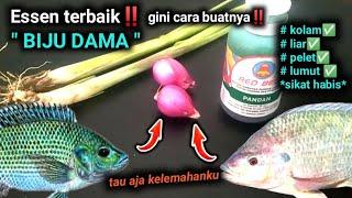 Terbaru‼️cara membuat Essen  "biju dama" untuk mancing nila dan mujair‼️