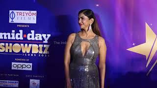 Sunny Leone, Sharad Kelkar Celebs Grace The Red Carpet Of Mid-Day Showbiz Icon 2024 Award part 3