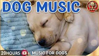 Dog favorite music, 20 hours of dog sleep music｜Separation anxiety relief for puppies who are alone