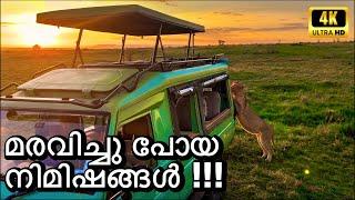 ശ്വാസമടക്കിപ്പിടിച്ചിരുന്ന നിമിഷങ്ങൾ | Maasai Mara Episode 3 | 4K UHD