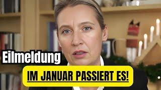 Nach Neujahr werden sie uns zerstören Alice Weidel Eilmeldung