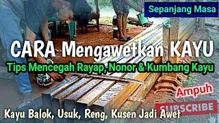 CARA MENGAWETKAN KAYU anti RAYAP  Obat Kayu Anti Rayap dan Bubuk  Cara Membasmi Rayap di Rumah