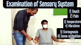 CNS - Examination of Sensory system (Upper Limb), English/Hindi, #MBBS, #NEXT, #NEETPG