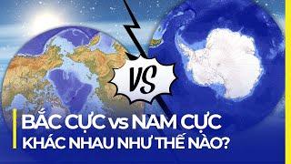 BẮC CỰC VÀ NAM CỰC KHÁC NHAU NTN? ĐIỀU GÌ XẢY RA NẾU BĂNG TAN HẾT?