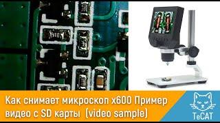 Microscope x600 (G600) aliexpress. Sample video from SD Card