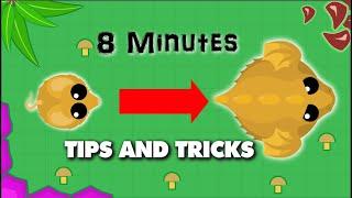 HOW TO GET 1 MILLION FAST IN MOPE.IO - Mope.io Mouse to Dragon in 8 Minutes -Tips & Tricks