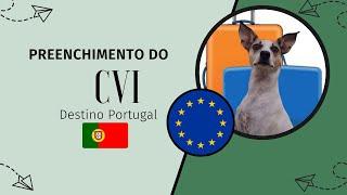 Preenchimento CVI | Destino Portugal (Atualizado 2023)