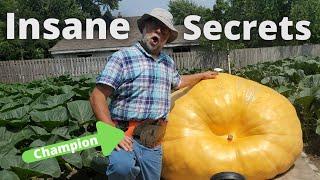 Championship Giant Pumpkin Grower Reveals All!