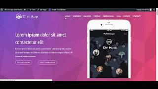 How to Import Divi App Child Theme by Divi Extended