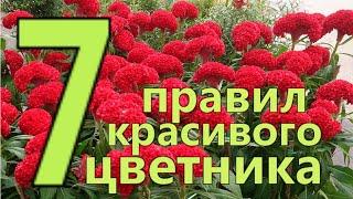 7 ПРАВИЛ СОЗДАНИЯ КРАСИВОГО ЦВЕТНИКА или  КЛУМБЫ. Подбор красивых ЦВЕТОВ и РАСТЕНИЙ для ЦВЕТНИКА.