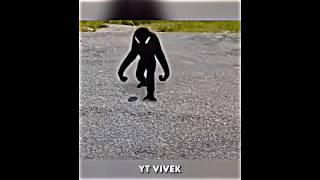 Skinwalker Monkey 