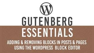 Add New & Remove unused Blocks in WordPress Gutenberg Block Editor