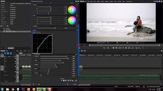 31 COLOR CORRECTION PRIMARY COLOR CORRECTION FILTER || Wedding Film Maker || Edius Classes