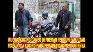 KUCING KUCING CAMEO DI PREMAN PENSIUN LANJUTAN WALAU ADA KUCING PARA PEMAIN TIDAK MENGUSIKNYA