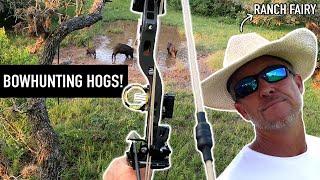 Bowhunting BIG Hogs in TEXAS w/Ranch Fairy!!!