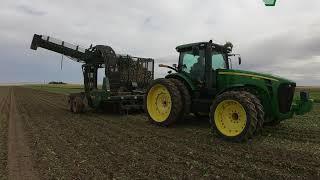 Sugar Beet Harvest