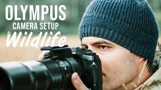 Olympus for Wildlife Photography, My Camera Setup - E-M1X, E-M1 Mark III