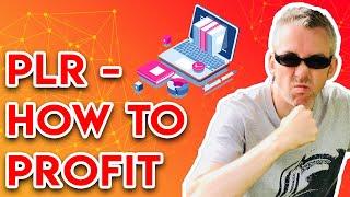 How to Profit From PLR | 7 Quick Methods + 1 Bonus Idea 