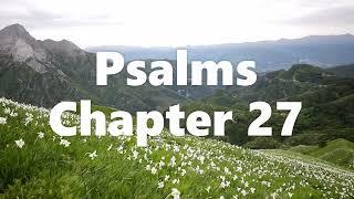 The Book of Psalms Chapter 27 - New King James Version (NKJV) - Audio Bible