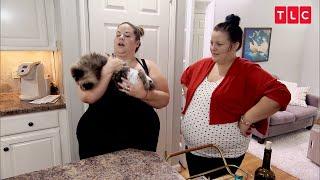 Why Is Whitney's Cat Wearing A Diaper? | My Big Fat Fabulous Life