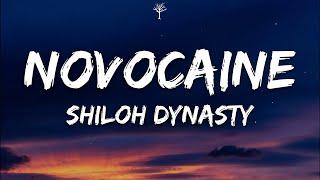 Shiloh Dynasty - Novocaine (Lyrics)